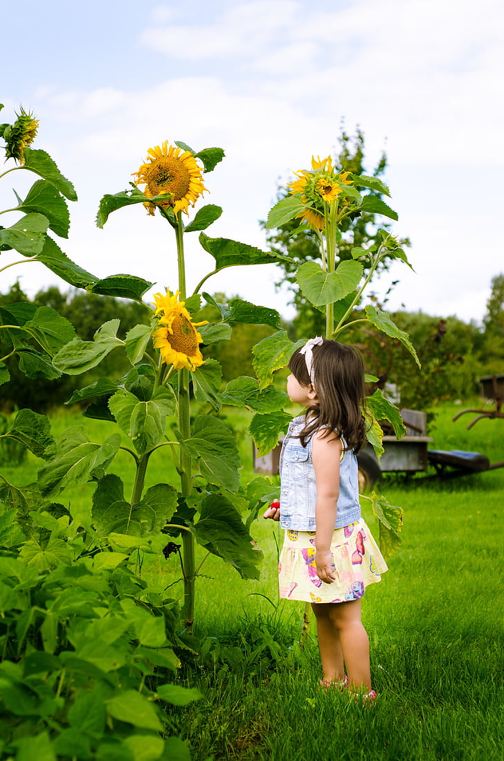 girl standing near sunflower plant during daytime