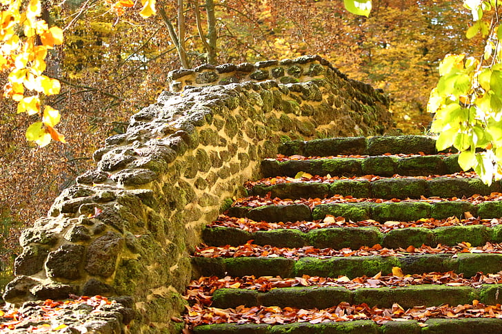 photo of staircase filled with fallen leaves