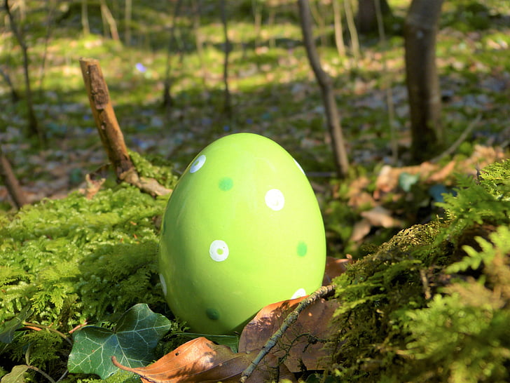 green Easter egg on grass field