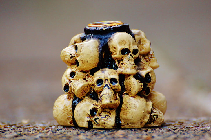 beige skulls on concrete floor