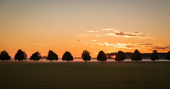 in distant photo of silhouette of trees during golden hour