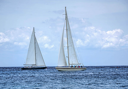 two white and black sailboats on bodies of water