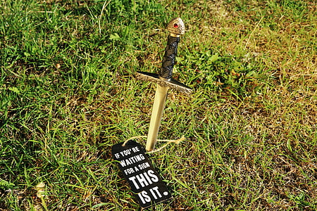 gray sword with stab on ground with grass