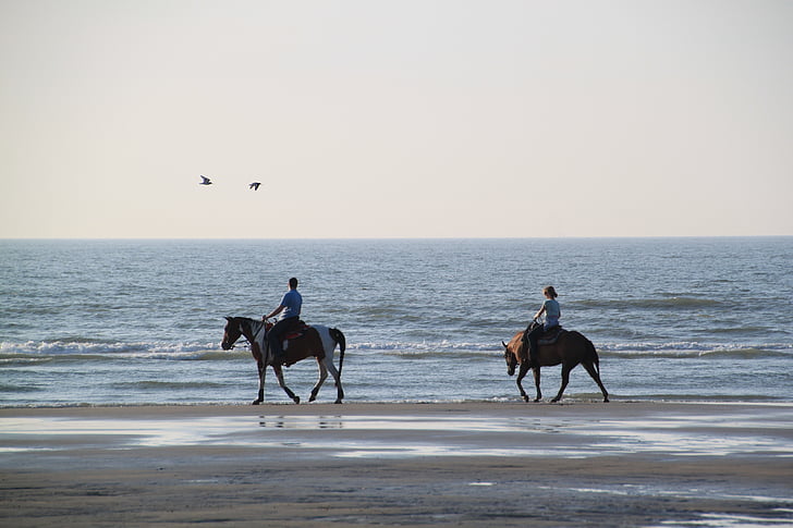 two horsemen on white sandy beach during daytime