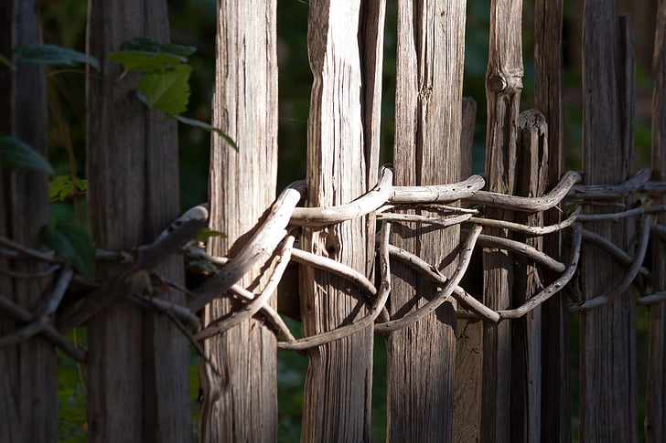 brown wooden fence with roots
