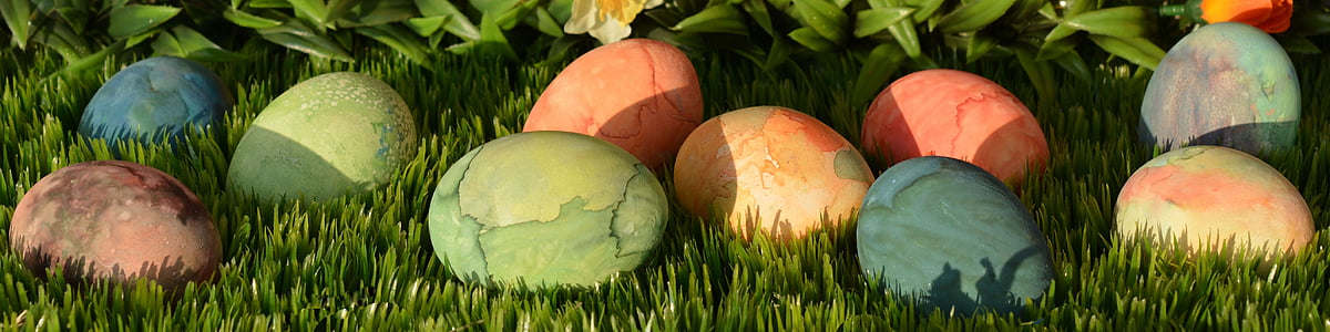 photo of assorted-color eggs