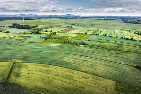 aerial view photography of green grass field