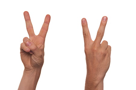 person's hand showing peace sign