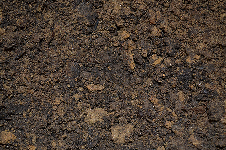 brown soil photography