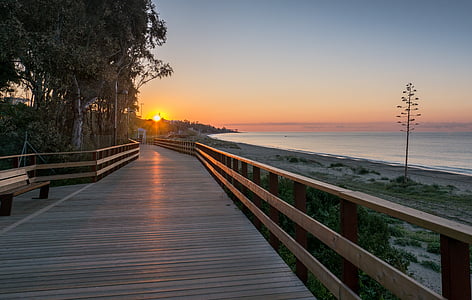 brown wooden pathway between seashore and treeline during golden hour photo