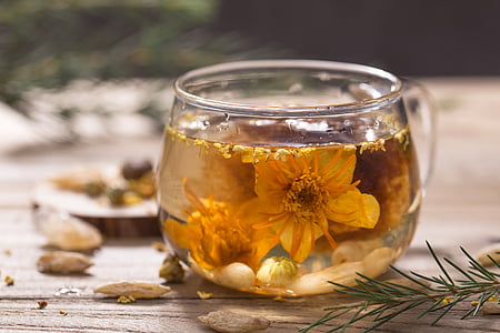 yellow petaled flowers placed in clear glass teacup filled with white liquid