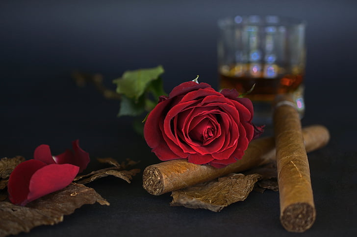 red rose on top of brown cigar