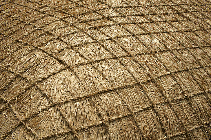 brown thatch roof with net