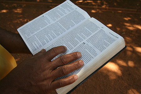 person holding a bible