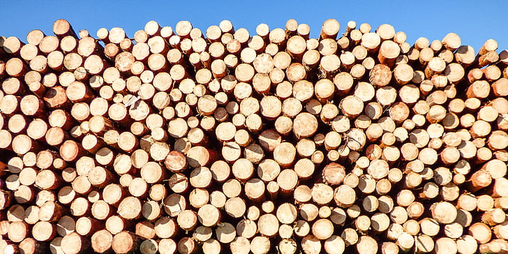 pile of brown wood logs at daytime
