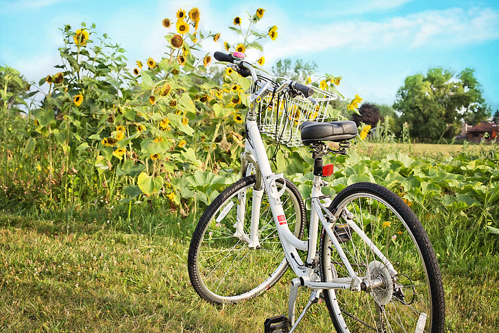 bicycle, bike, sunflowers, summer, leisure, cycle