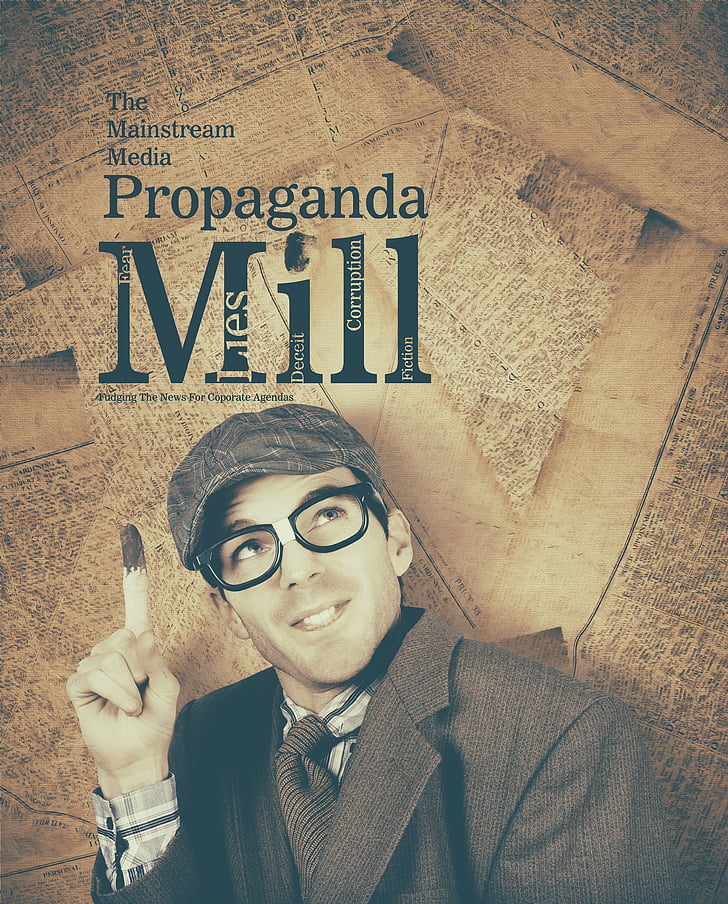 The Mainstream Media Propaganda book by Mill