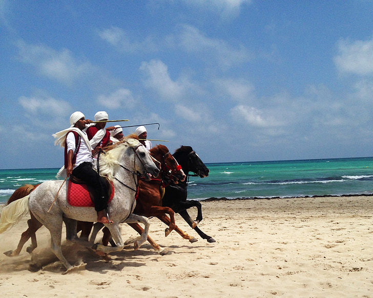 group of men riding horses beside seashore