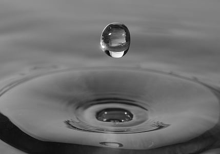 close-up grayscale photography of droplet of water above body of water
