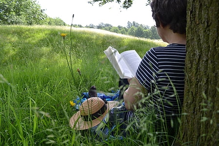 person reading book under tree