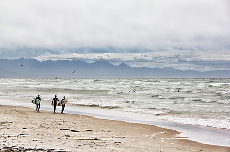 three persons holding surfboards walking near seashore