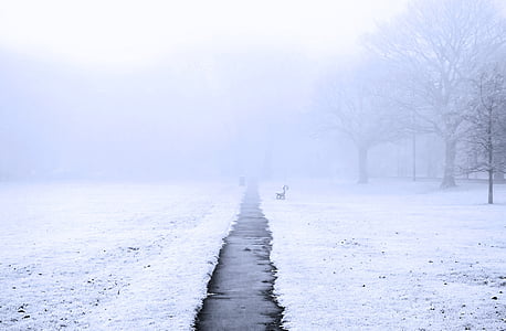 gray pathway between ground covered with snow with fog