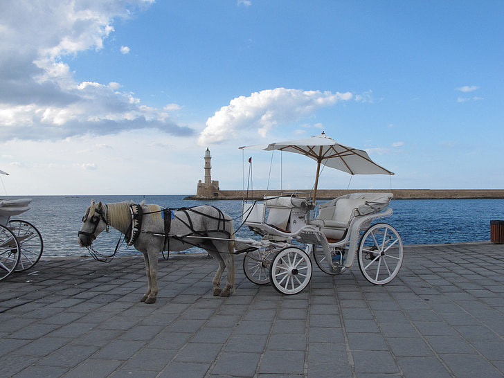 white horse carriage near ocean during daytime
