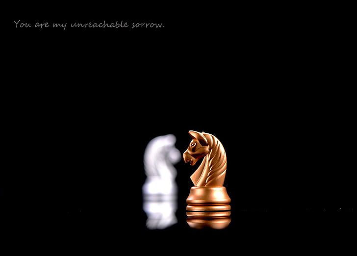 brown wooden horse chess piece