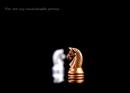 brown wooden horse chess piece