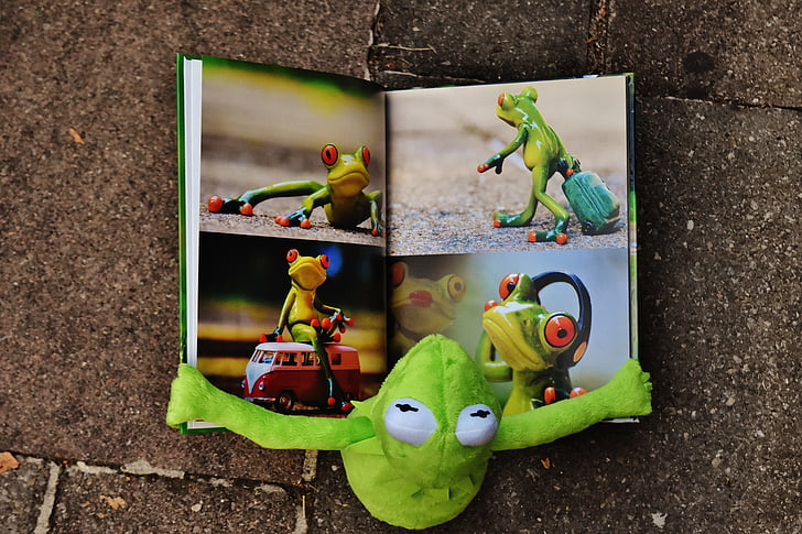 flat lay photography of frog plush toy reading book