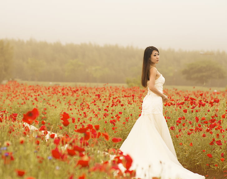 woman in white dress standing in the middle red flower field