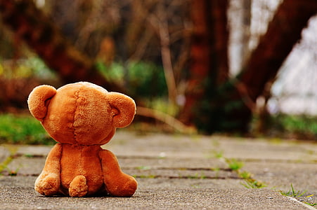brown teddy bear sitting on grey concrete floor facing backwards
