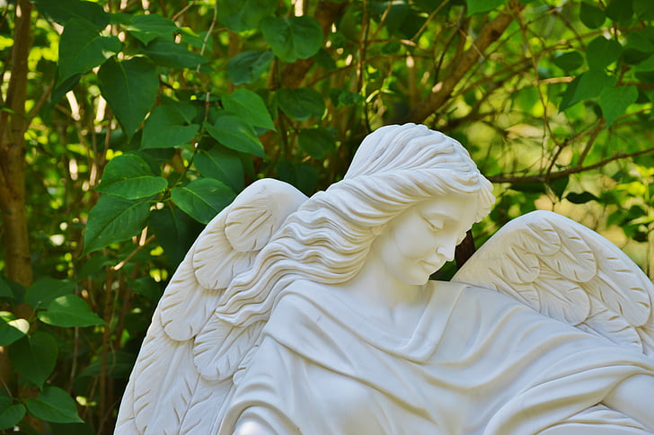 female angel statue near tree
