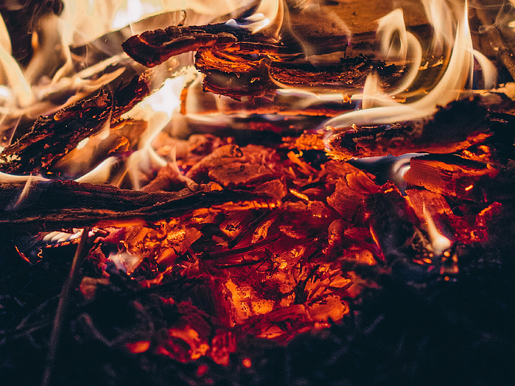 shallow focus photography of burning firewood
