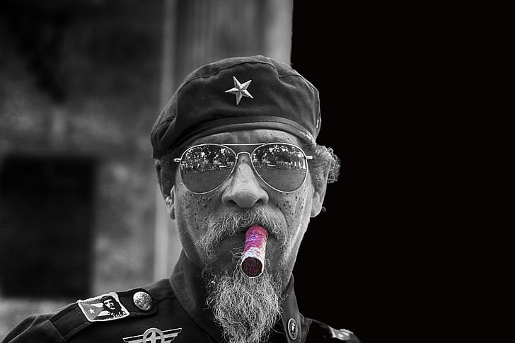 selective color photography of tobacco