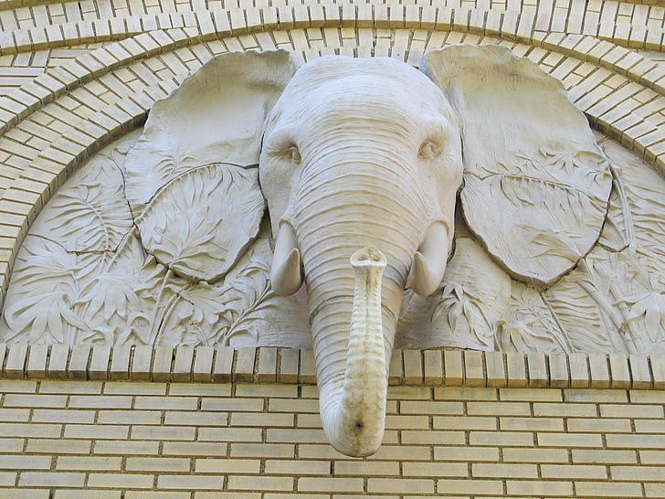 gray elephant head embossed wall