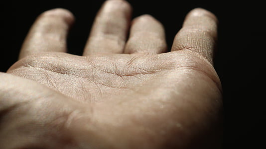 person showing left human palm