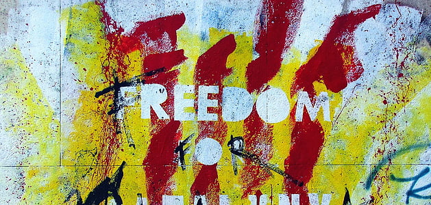 Freedom painted wall