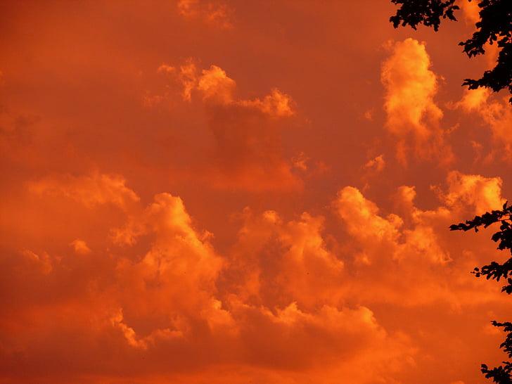 orange skies during sunset