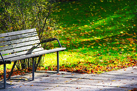 gray wooden bench during daytime