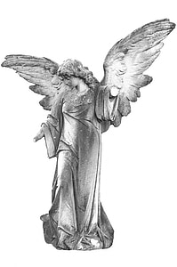 photo of angel statue