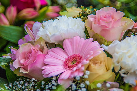 macro photography of flowers