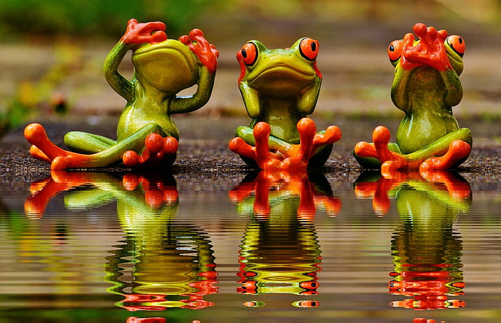 three green frogs on body of water