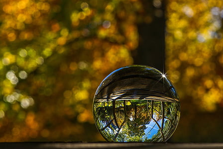selective focus photography of clear glass ball