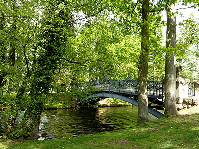 gray bridge surrounded with green trees