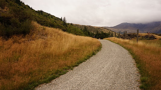 winding road photograph