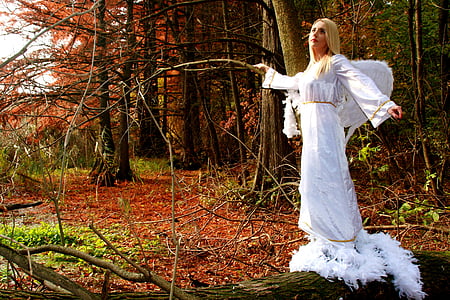 woman wearing fairy costume standing near trees