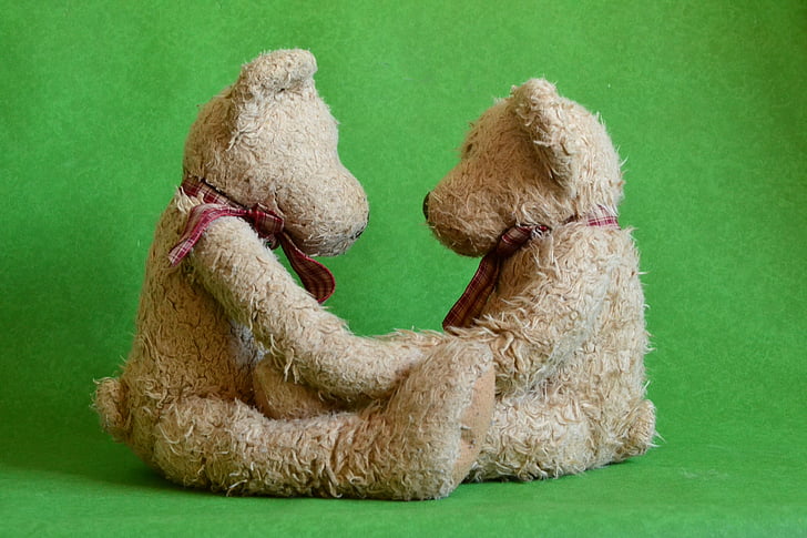two brown bear plush toys facing each other