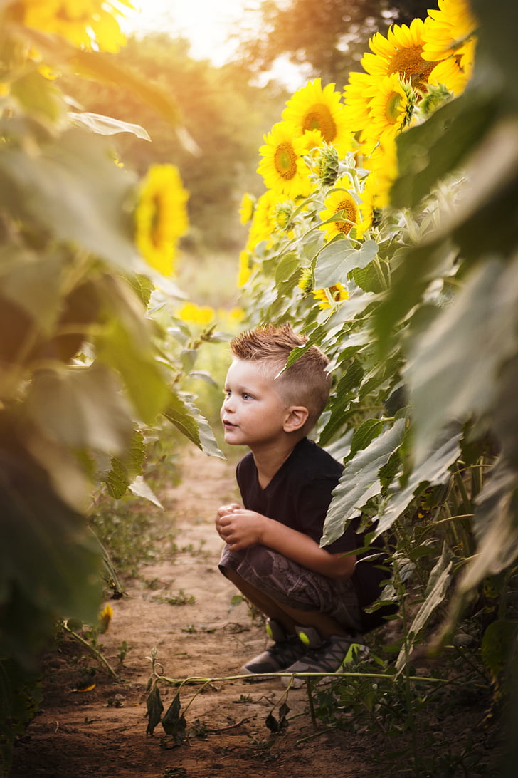 boy wearing black shirt sitting beside sunflower flowers