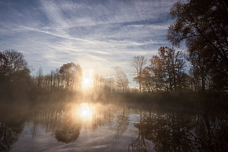 landscape photography of trees and body of water during daytime